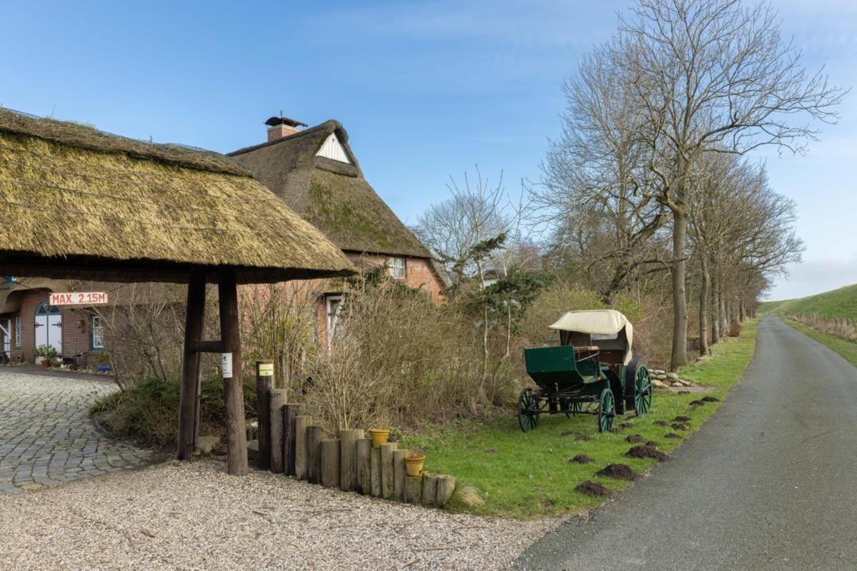 Krabbe Holiday home *